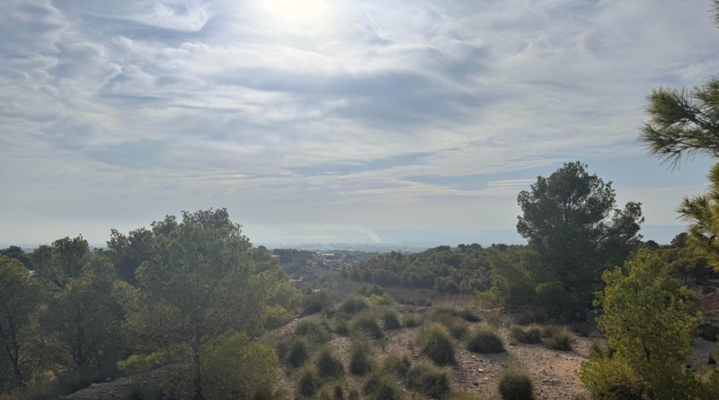 Alicante - Crevillent - 19400m2
