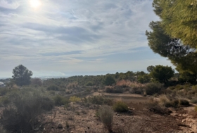 Crevillente 19400&nbsp;м²