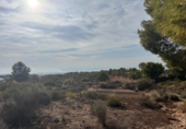 Non-developable land for sale in Crevillent ref: TR379633 photo