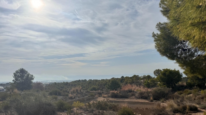 Alicante - Crevillent - 19400m2