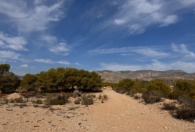 Crevillente 19400&nbsp;м²