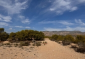 Non-developable land for sale in Crevillent ref: TR379633 photo