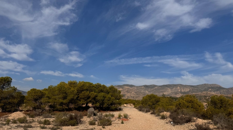 Alicante - Crevillent - 19400m2