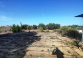 Terreno no urbanizable en venta en Crevillente ref: TR379715 foto