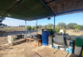 Terreno no urbanizable en venta en Crevillente ref: TR379715 foto