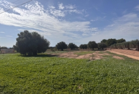 Crevillente 15179&nbsp;м²
