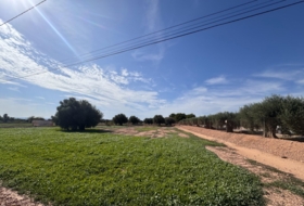 Crevillente 15179&nbsp;м²