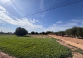 Non-developable land for sale in Crevillent ref: TR379708 photo