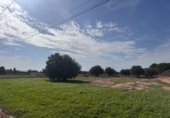 Non-developable land for sale in Crevillent ref: TR379708 photo