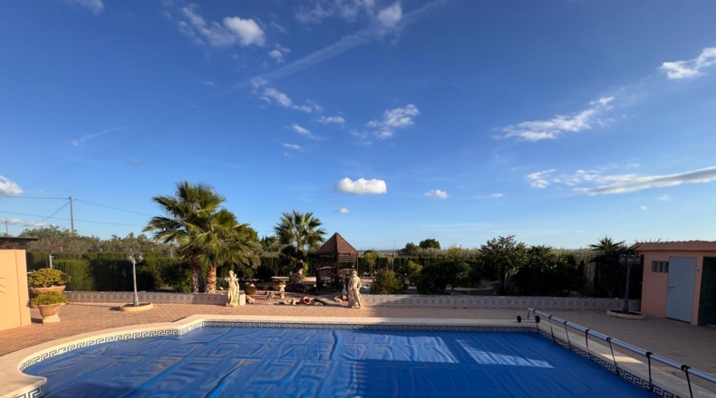 Alicante - Crevillent - 4412m2