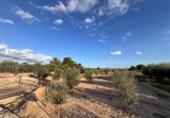 Xalet independent amb terreny en venda a Crevillent ref.: TR379679 foto