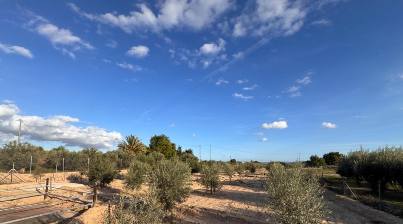 Alicante - Crevillent - 4412m2