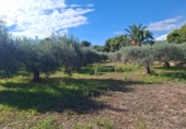 Casa de camp amb terreny en venda a Crevillent ref.: TR379672 foto