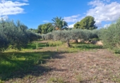 Casa de camp amb terreny en venda a Crevillent ref.: TR379672 foto