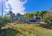 Casa de camp amb terreny en venda a Crevillent ref.: TR379672 foto