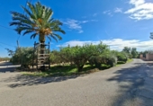 Casa de camp amb terreny en venda a Crevillent ref.: TR379672 foto