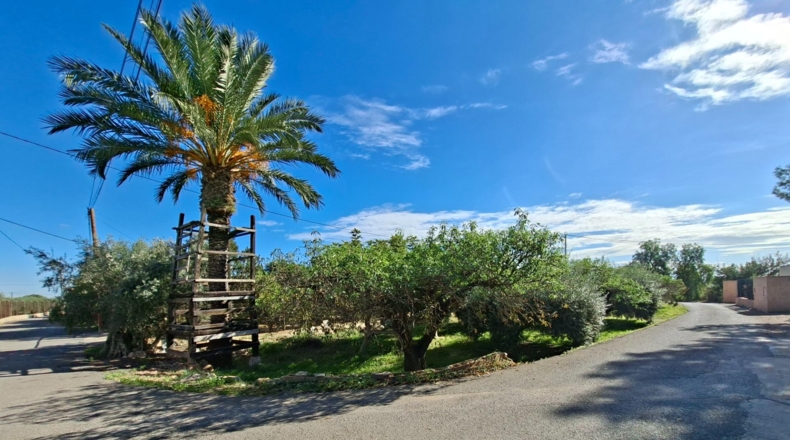 Alicante - Crevillent - 4213m2