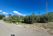 Casa de camp amb terreny en venda a Crevillent ref.: TR379672 foto