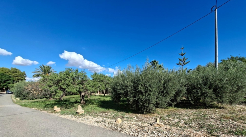 Alicante - Crevillent - 4213m2