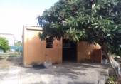 Rural estate for sale in Sagunto ref: TR16396 photo