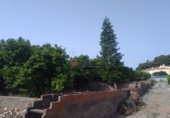 Rural estate for sale in Sagunto ref: TR16396 photo