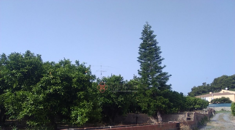 Valencia - Sagunto - 15460m2