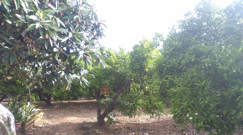 Valencia - Sagunto - 15460m2