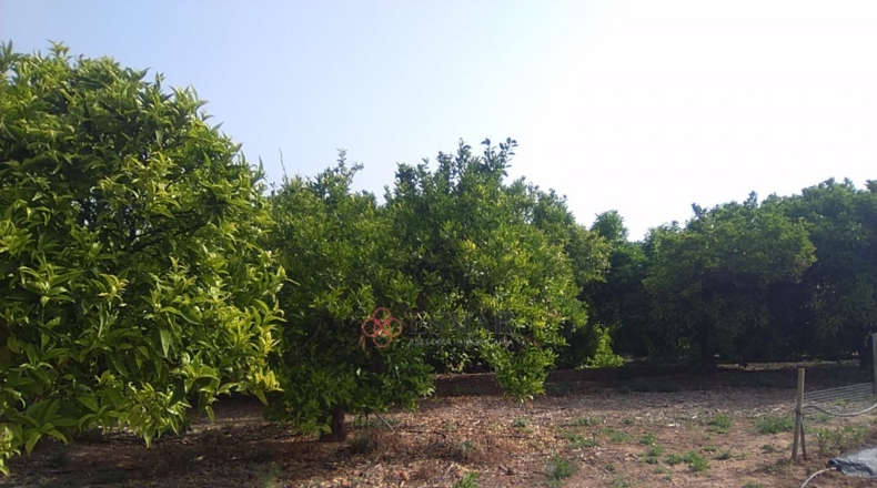 Valencia - Sagunto - 15460m2