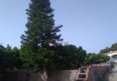 Rural estate for sale in Sagunto ref: TR16396 photo