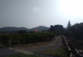 Rural estate for sale in Sagunto ref: TR16396 photo