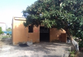 Rural estate for sale in Sagunto ref: TR16396 photo