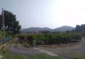 Rural estate for sale in Sagunto ref: TR16396 photo