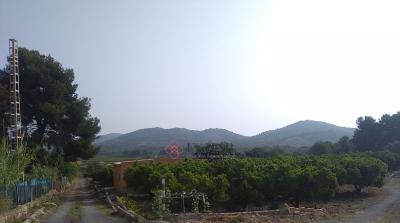 Valencia - Sagunto - 15460m2