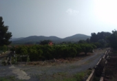 Rural estate for sale in Sagunto ref: TR16396 photo