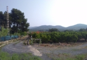 Rural estate for sale in Sagunto ref: TR16396 photo