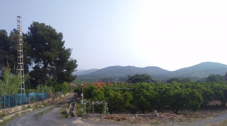 Valencia - Sagunto - 15460m2