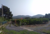 Rural estate for sale in Sagunto ref: TR16396 photo