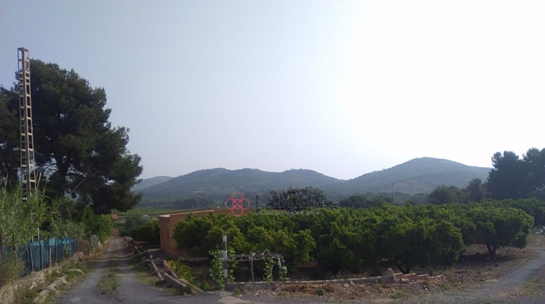 Valencia - Sagunto - 15460m2