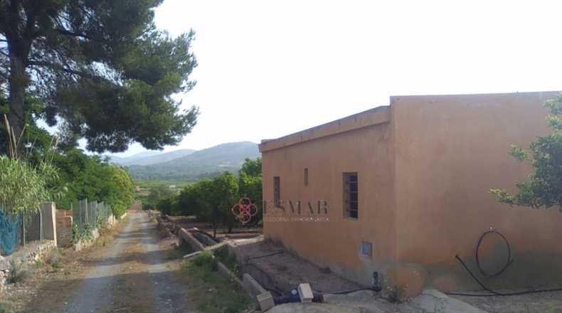 Valencia - Sagunto - 15460m2