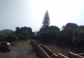 Rural estate for sale in Sagunto ref: TR16396 photo