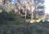 Non-developable land for sale in Estivella ref: TR32704 photo