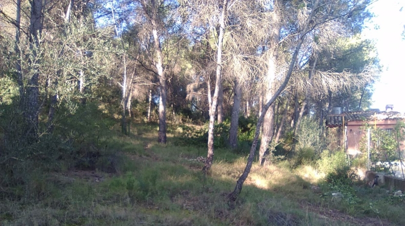 Valencia - Estivella - 2182m2