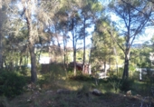 Non-developable land for sale in Estivella ref: TR32704 photo