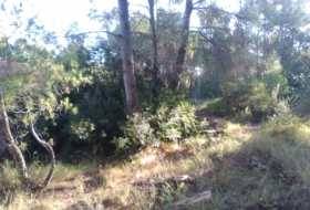 Foto 6