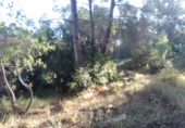 Non-developable land for sale in Estivella ref: TR32704 photo