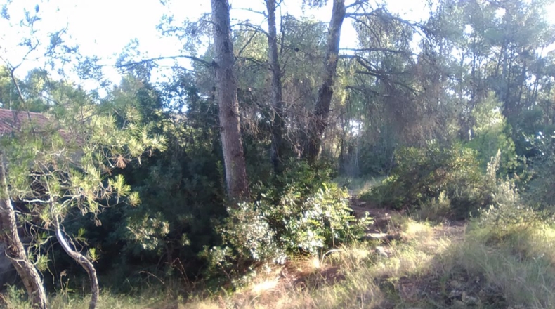 Valencia - Estivella - 2182m2