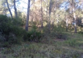 Non-developable land for sale in Estivella ref: TR32704 photo