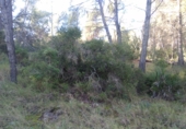 Non-developable land for sale in Estivella ref: TR32704 photo