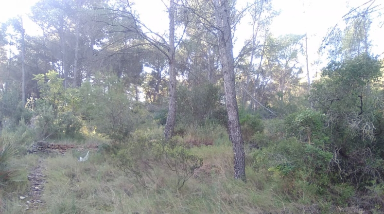 Valencia - Estivella - 2182m2
