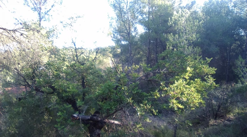 Valencia - Estivella - 2182m2